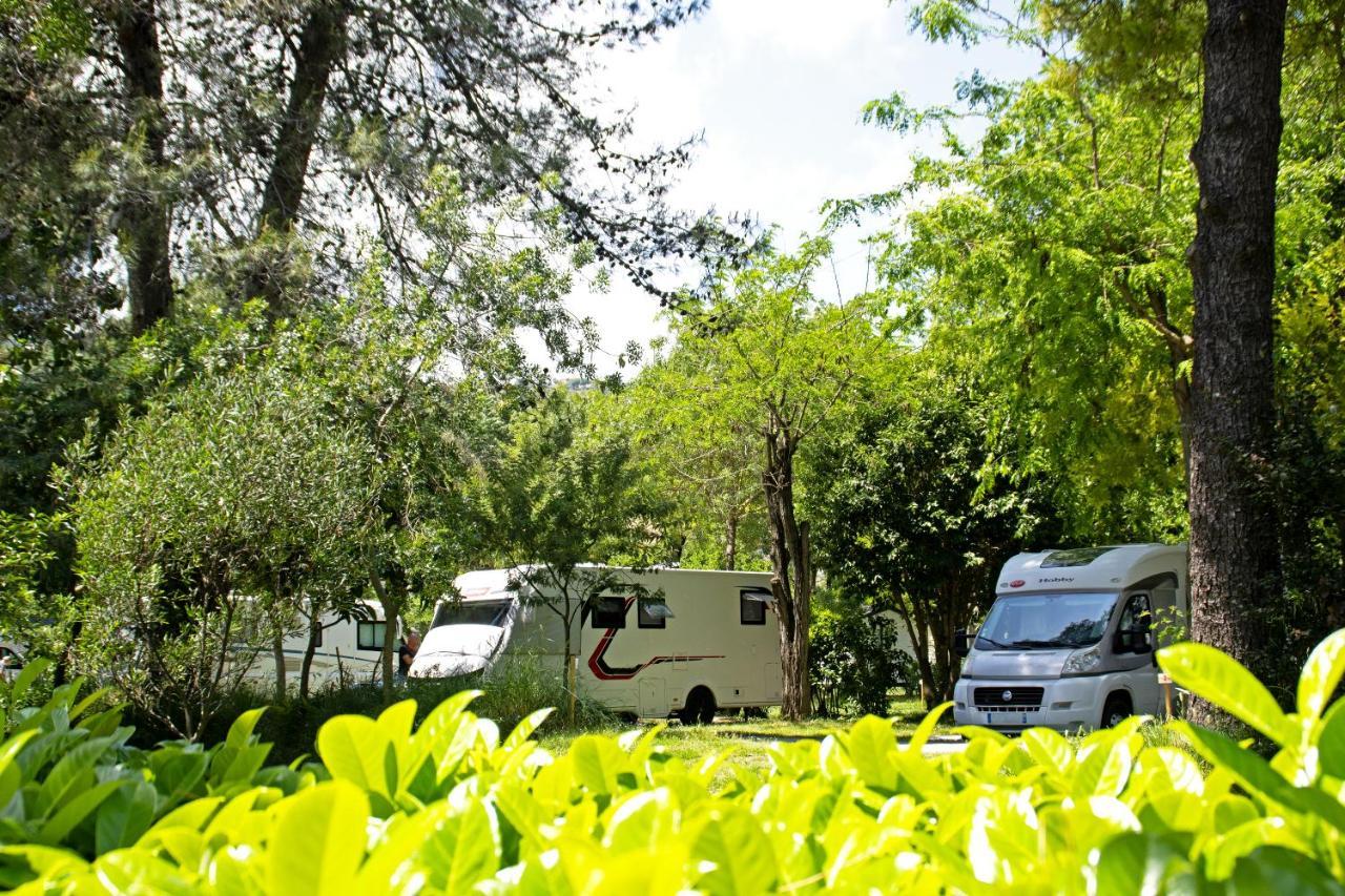 Camping Les Mimosas Hotel Pégomas Eksteriør billede